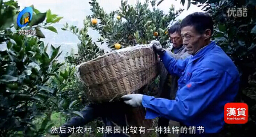 汉货故事（三）秭归脐橙武汉广苑影视预告片