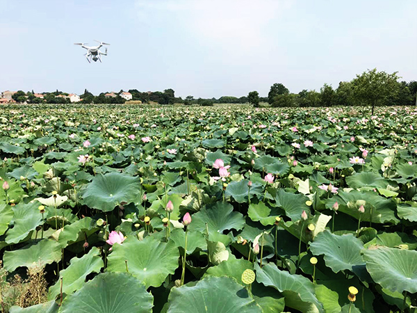 广苑影视湖北省蔬菜办公室蔬菜产业宣传项目素材拍摄进行中